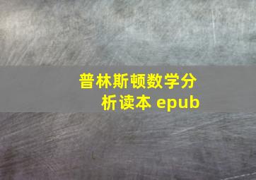 普林斯顿数学分析读本 epub